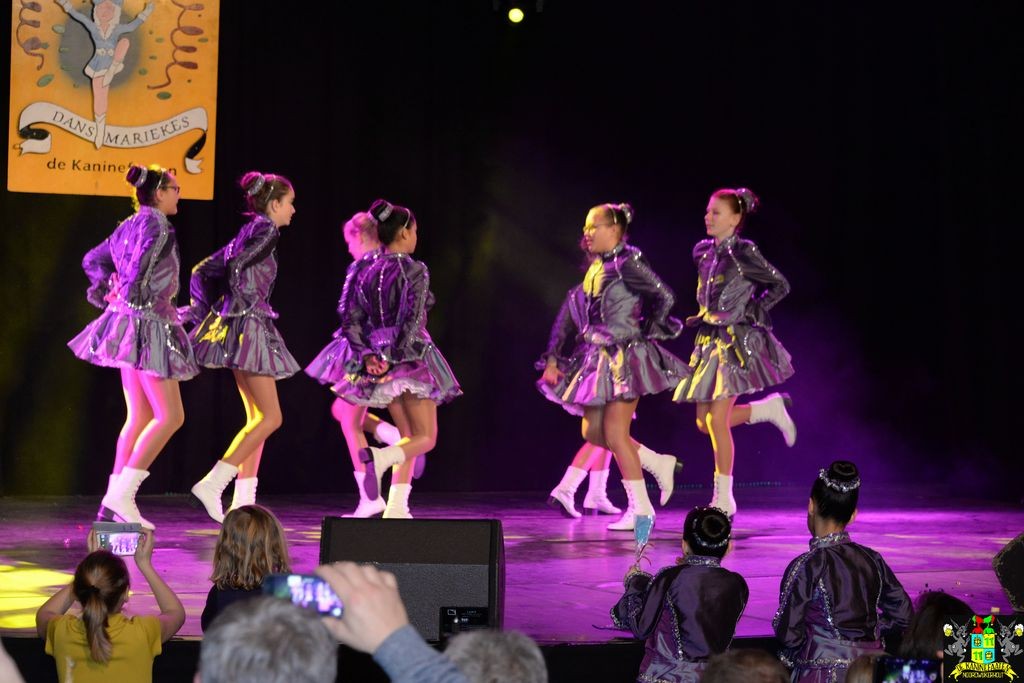 ../Images/Dansmarieke festival 2018 143.jpg